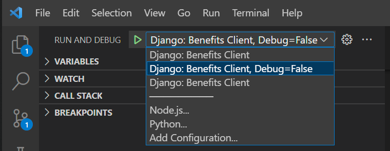 Screenshot of the VSCode Run and Debug pane, showing selection of the launch configuration